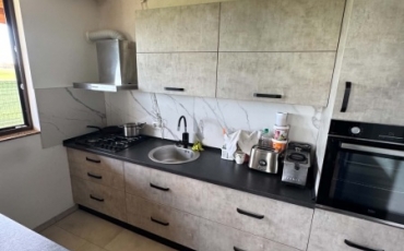 Casa 3 camere, 233 mp de vanzare MARTINESTI