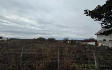 TEREN INTRAVILAN 1.22 HA LOC PETEA , LANGA VAMA