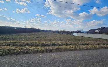 Teren intravilan 6000 mp de vanzare VIILE SATU MARE