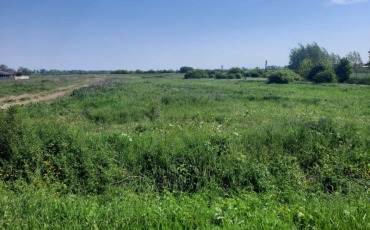 Teren intravilan 12216 mp de vanzare VETIS