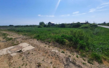 Teren intravilan 12216 mp de vanzare VETIS