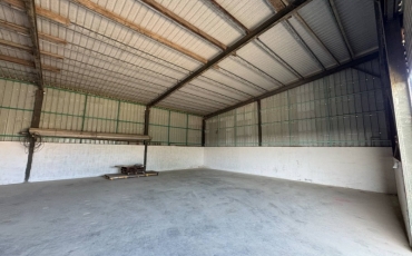 CHIRIE HALA INDUSTRIALA 230 MP LIVADA