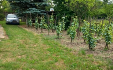 Teren intravilan 4350 mp de vanzare VIILE SATU MARE