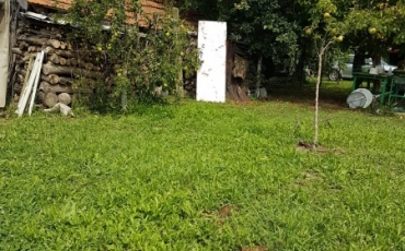 Teren intravilan 4350 mp de vanzare VIILE SATU MARE