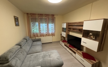 Apartament 2 camere, 45 mp de inchiriat CARPATI 1