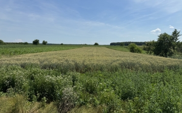Casa 2 camere, 60 mp de vanzare NISIPENI